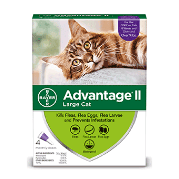 Advantage II For Large Cats - 4Kg+ / 4 Pack - Flea & Tick - Advantage - PetMax Canada