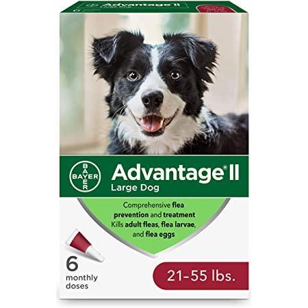 Advantage II For Large Dogs - 11Kg - 25Kg / 6 Pack - Flea & Tick Topical Applications - Advantage - PetMax Canada