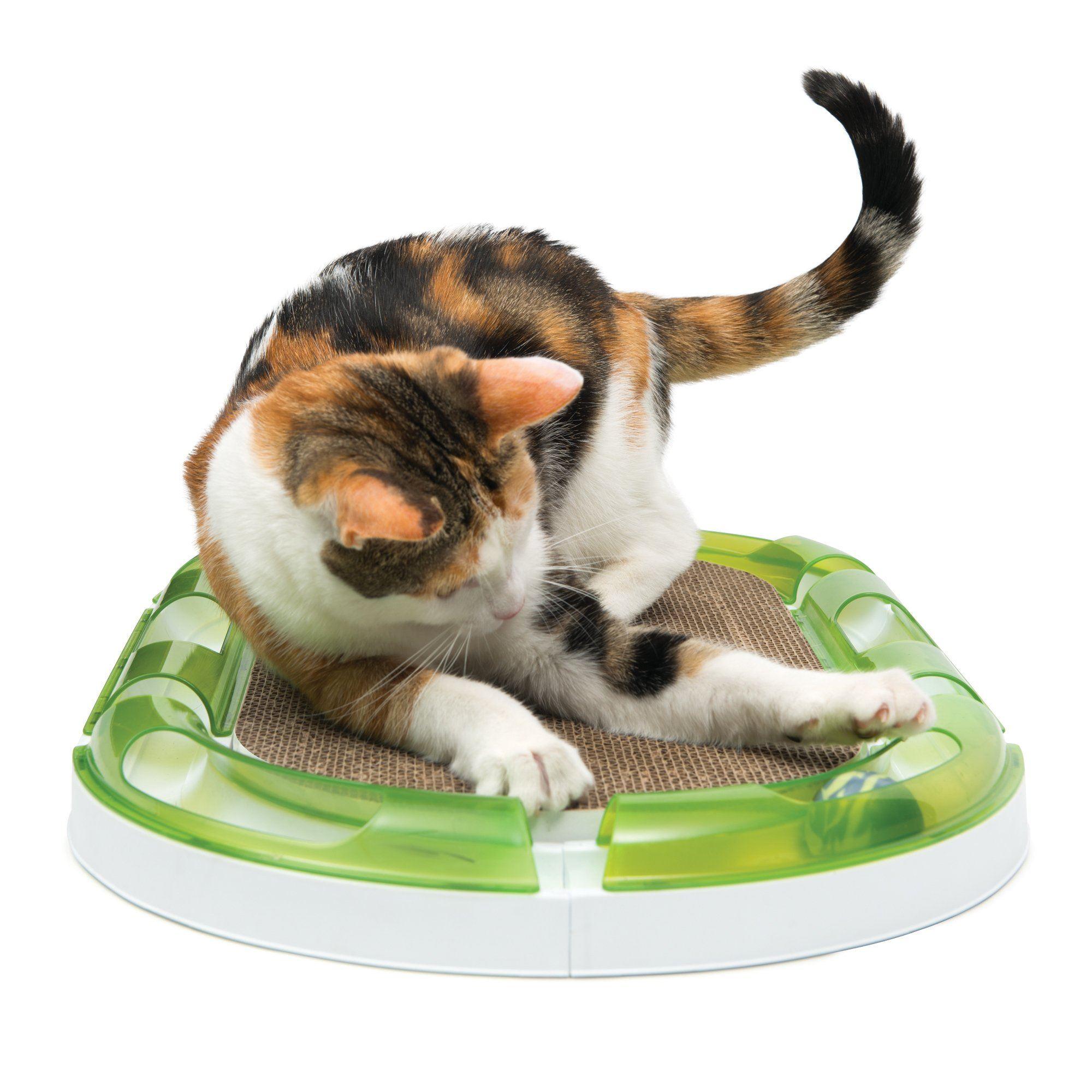 Catit Senses 2.0 Oval Circuit Scratcher - Circuit Scratcher - Cat Toys - Catit - PetMax Canada