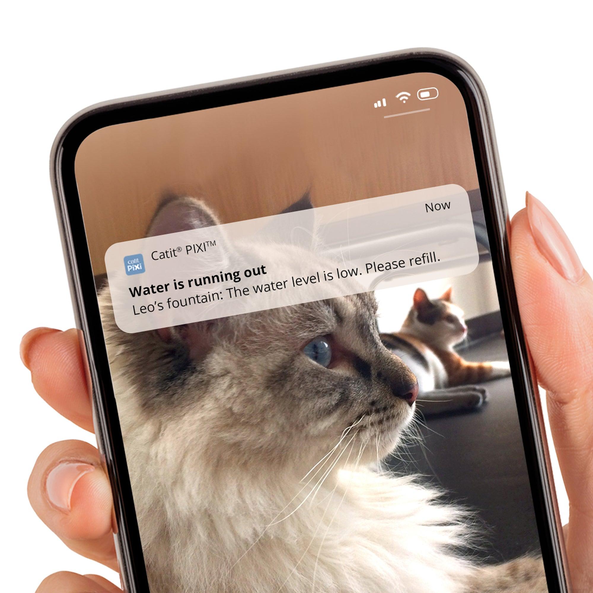 Catit Pixi Smart Water Fountain With Stainless Steel Top - Smart Feeder With Stainless Steel Top - Cat Fountain - Catit - PetMax Canada