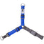 RC Dog Pace No Pull Harness Royal Blue  Harnesses  | PetMax Canada