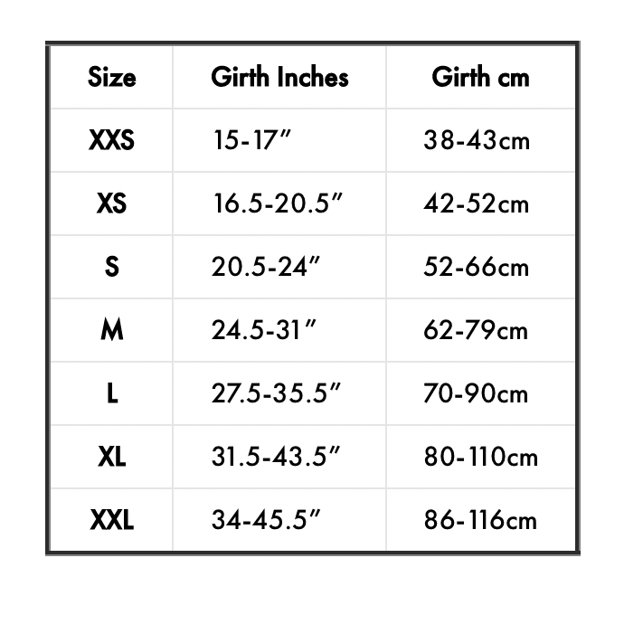 EZYDog Convert Dog Harness Charcoal - Medium - Harnesses - EZYDog - PetMax Canada