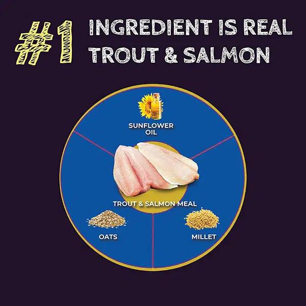Zignature Select Cuts Trout & Salmon Formula - 11.34 Kg - Dog Food - Zignature Pet Food - PetMax Canada