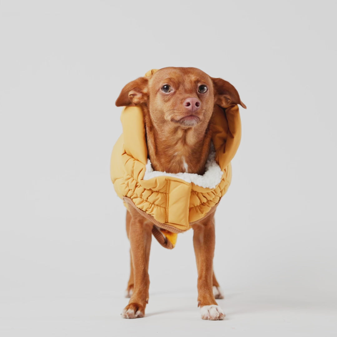 GF Pet Super Puff Parka Yellow For Dogs