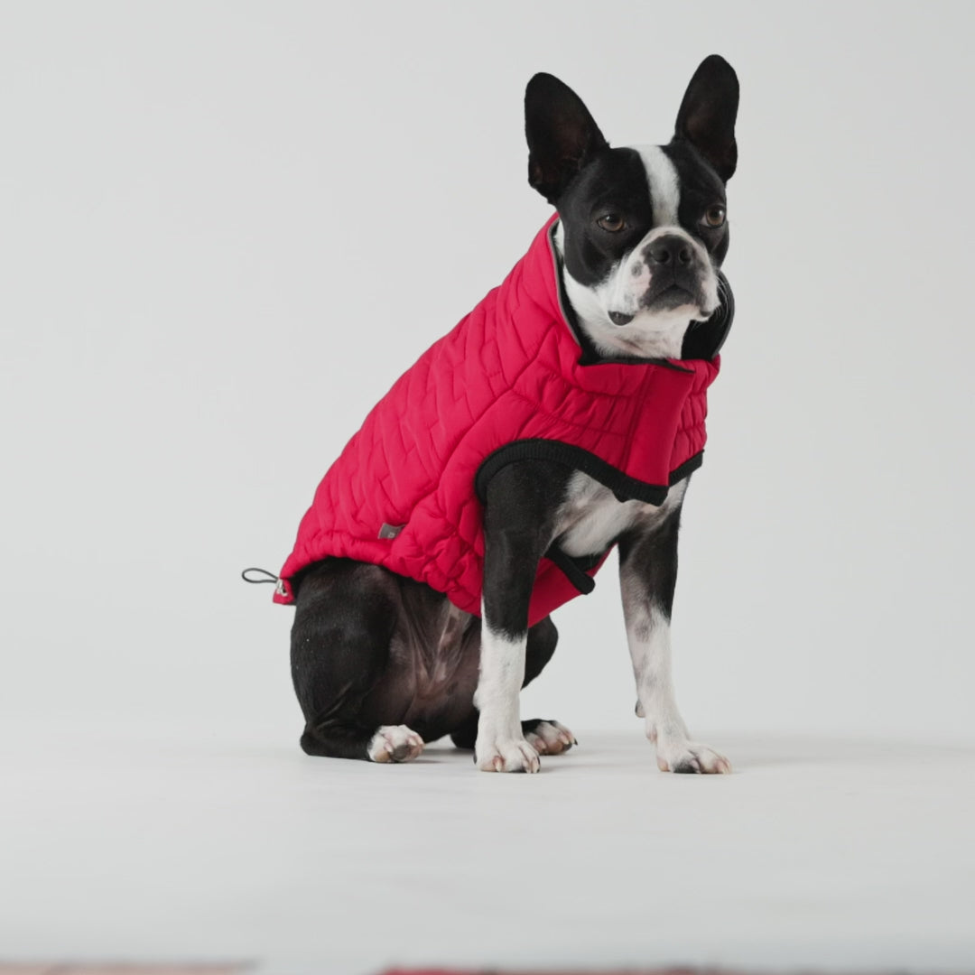 Veste Chalet Réversible GF Pet Rouge Pour Chiens