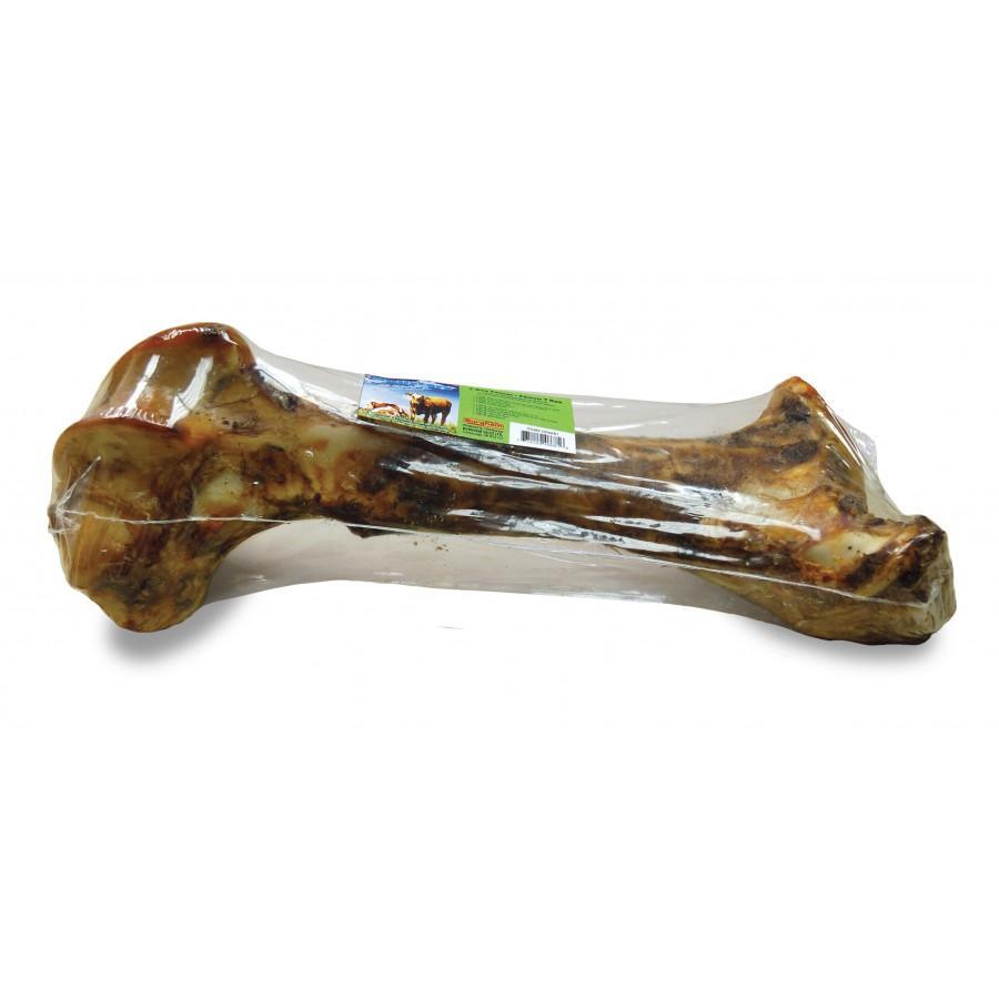 Bullsters T Rex Femur 16" - 16" - Natural Chews - Bullsters - PetMax Canada