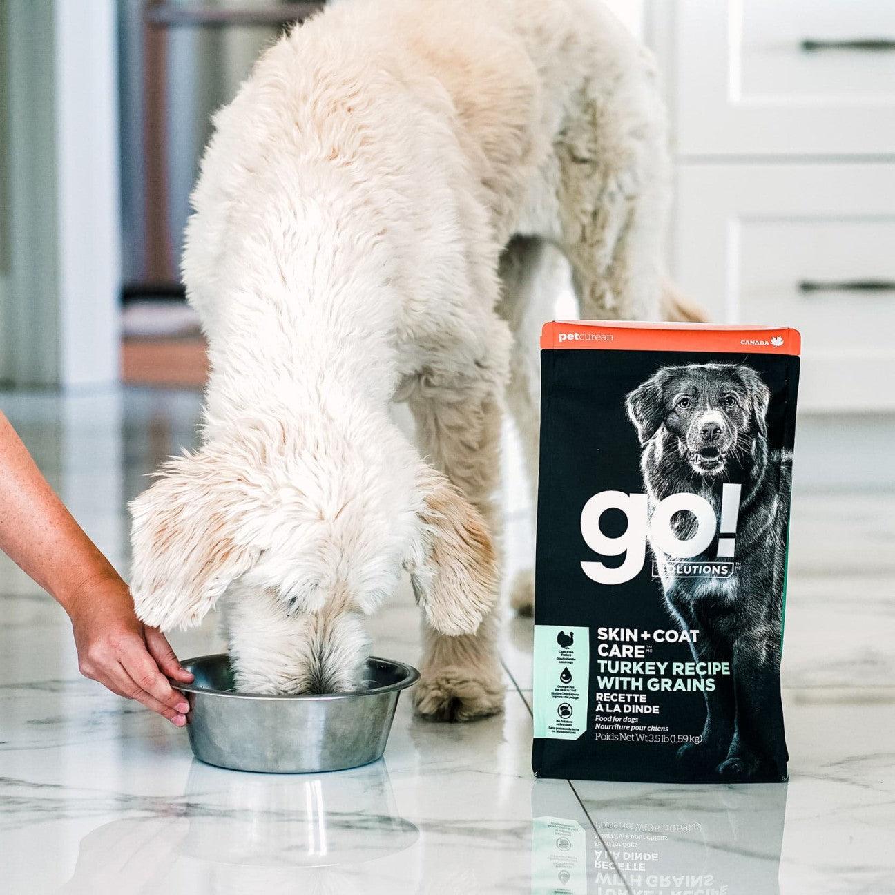 GO! SKIN + COAT CARE Turkey Recipe for dogs - 1.59 Kg - Dog Food - Go! - PetMax Canada