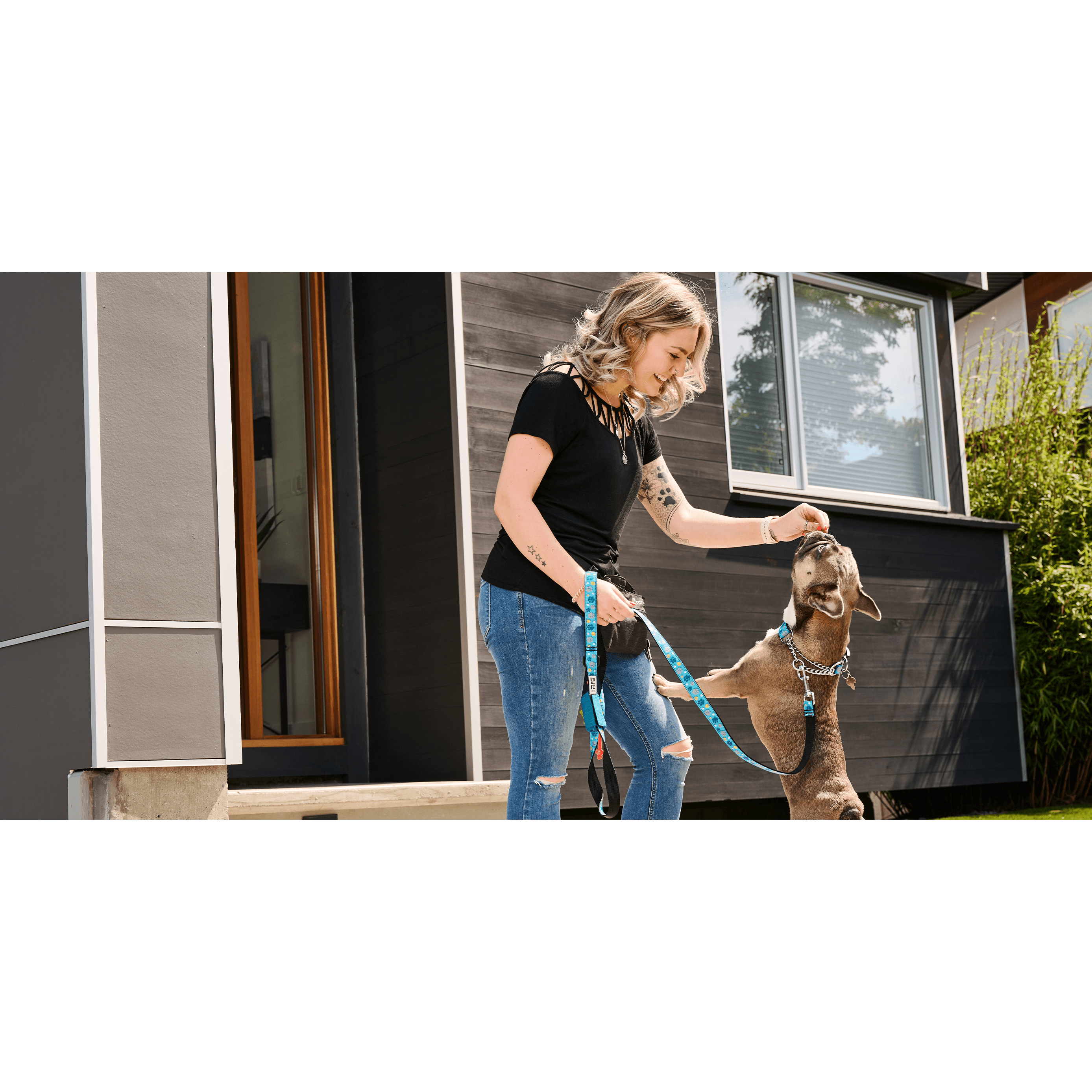 RC Dog Leash Fresh Tracks Blue - 3/4" x 6' - Leashes - RC Pet Products - PetMax Canada