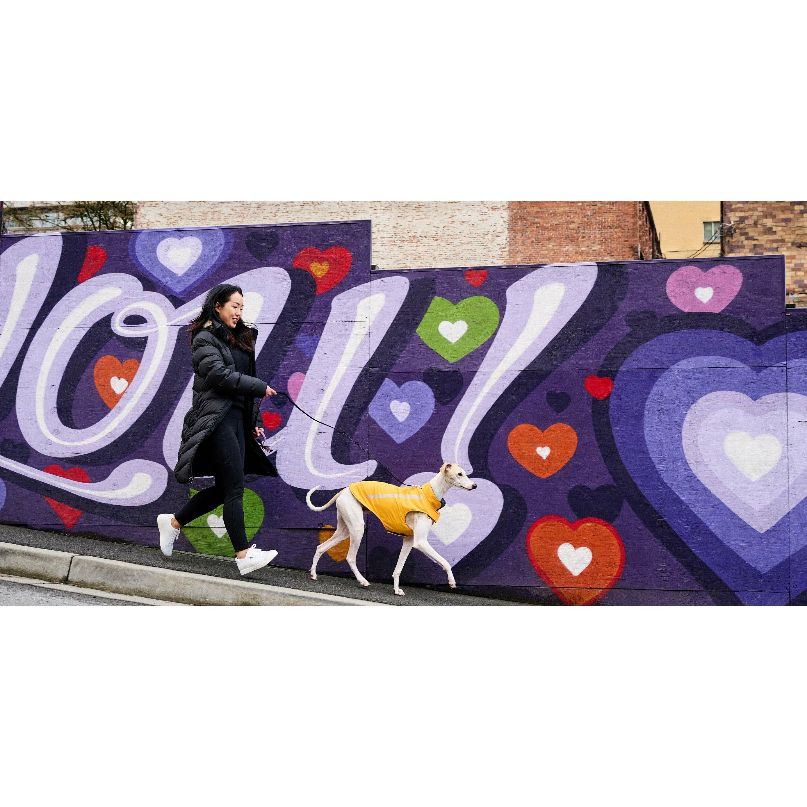 RC Dog Coat Drift Black - 10" - Coats - RC Pet Products - PetMax Canada