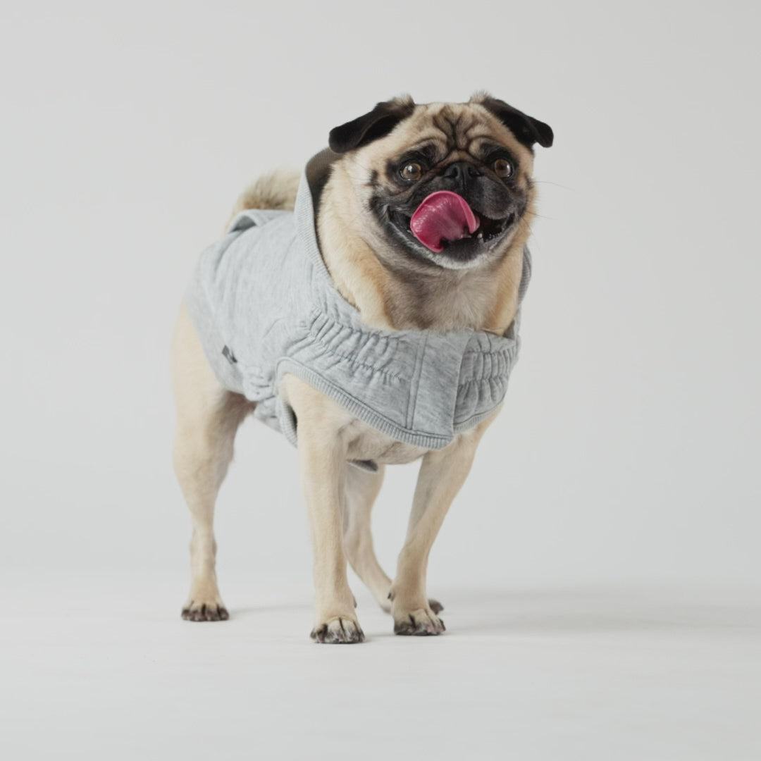 GF Pet Urban Hoodie Heather Grey For Dogs