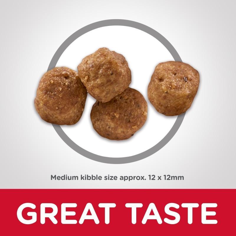 Hill's Science Diet Dry Dog Food, Adult 7+ for Senior Dogs, Chicken Meal, Barley & Brown Rice Recipe - 6.8 Kg - Dog Food - Hill's Science Diet - PetMax Canada