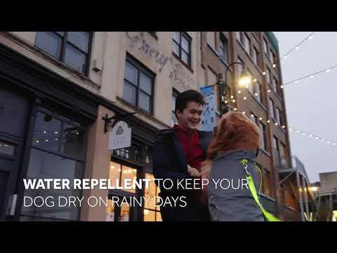 Veste réfléchissante RC Dog Starling Goji Berry