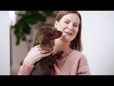 Open Farm Puppy Dry Dog Food Chicken & Salmon Recipe