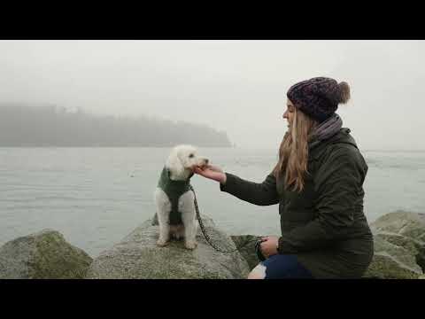 Sac à friandises RC Pet Essential Heather Teal