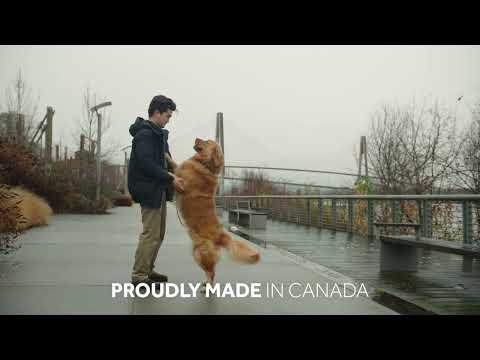 Laisse en corde pour chien RC Noir