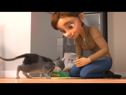 Hill's Science Diet Adult Perfect Weight cat food