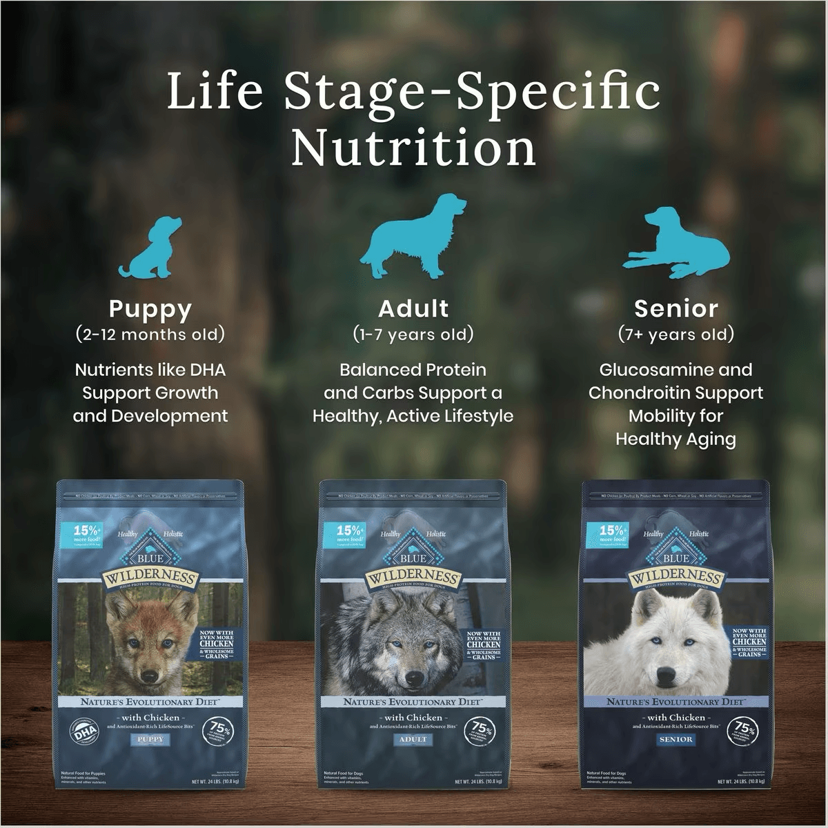 Blue Buffalo Wilderness With Healthy Grains Duck Adult Dry Dog Food - 2 Kg - Dog Food - Blue Buffalo - PetMax Canada
