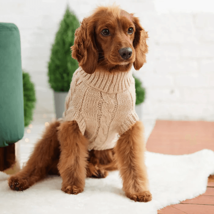GF Pet Chalet Sweater Oatmeal For Dogs - XX-Small - Sweaters - GF Pet - PetMax Canada