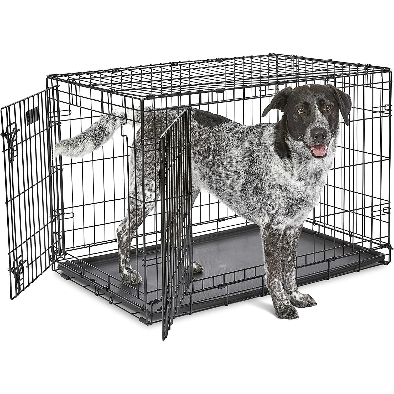 Bud'Z Deluxe Dog Crate With Double Door - Small: 24" x 17" x 19" - Wire Crates - Bud'Z - PetMax Canada