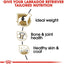Royal Canin Labrador Retriever Dog Food  Dog Food  | PetMax Canada