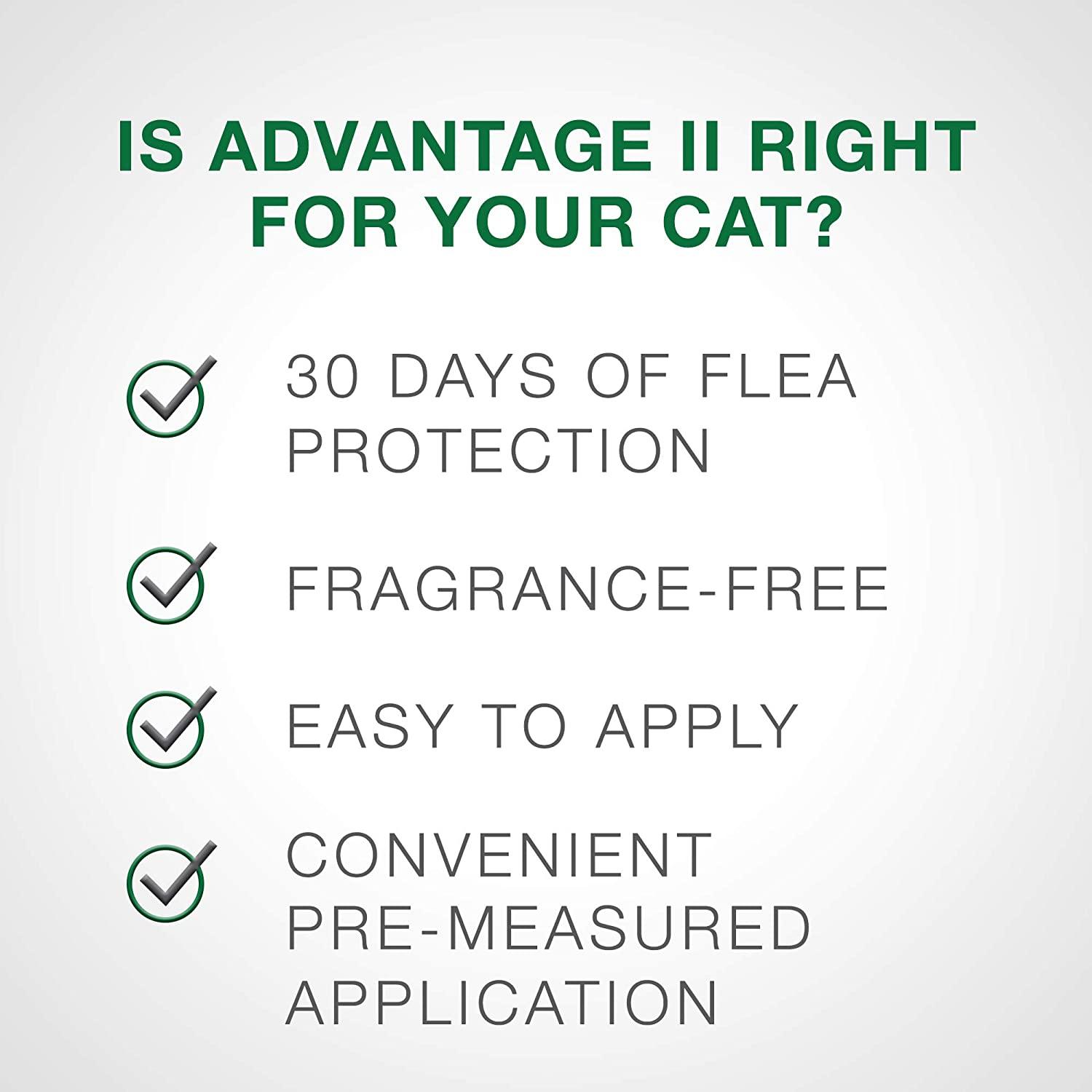 Advantage II For Large Cats - 4Kg+ / 4 Pack - Flea & Tick - Advantage - PetMax Canada
