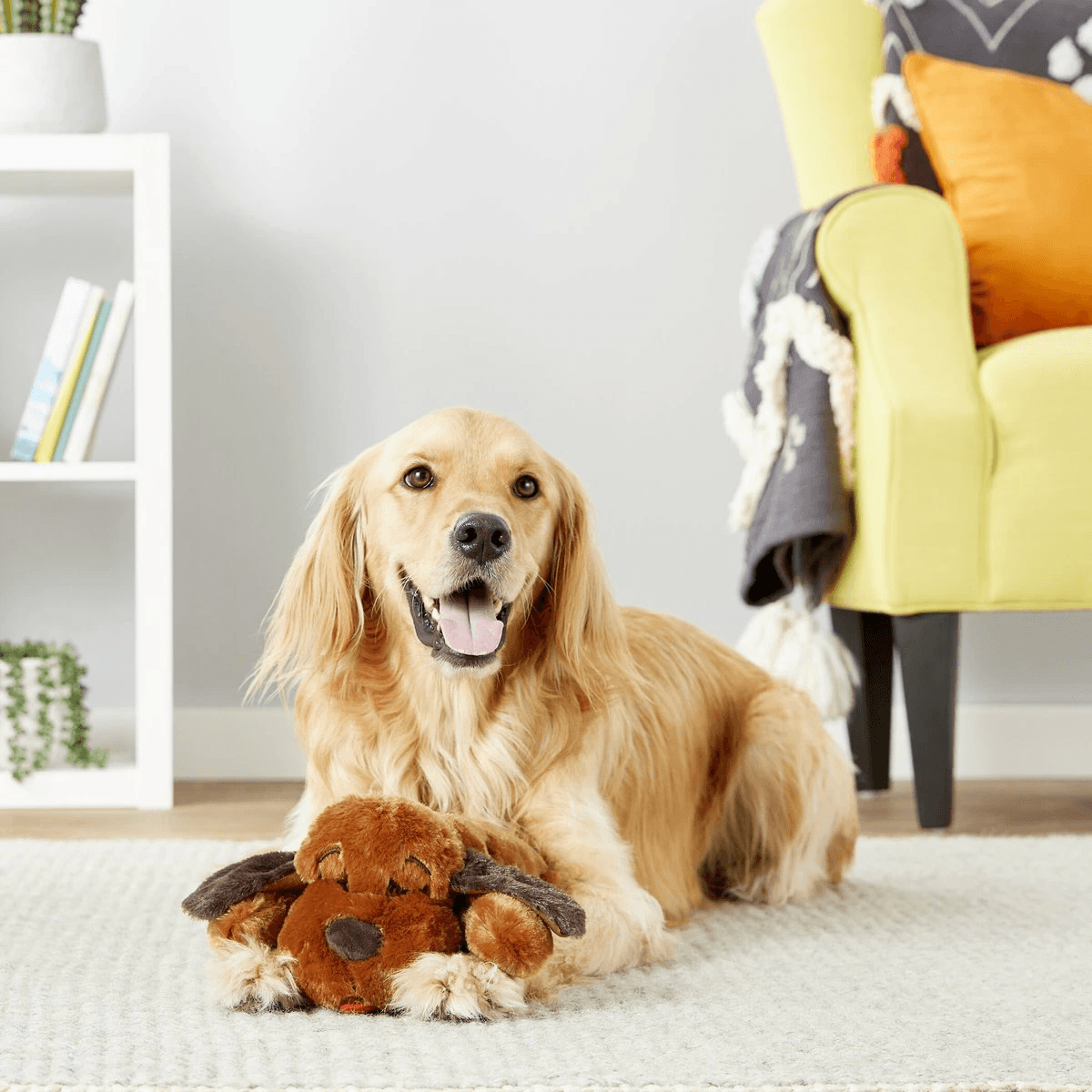 Smart Pet Love Snuggle Puppy Behavioral Aid Dog Toy - Brown - Dog Toys - Smart Pet - PetMax Canada