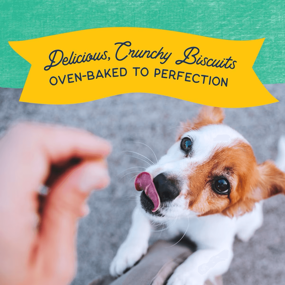 Natural Balance Rewards Crunchy Biscuits With Real Chicken Dog Treats - 227g - Dog Treats - Natural Balance - PetMax Canada