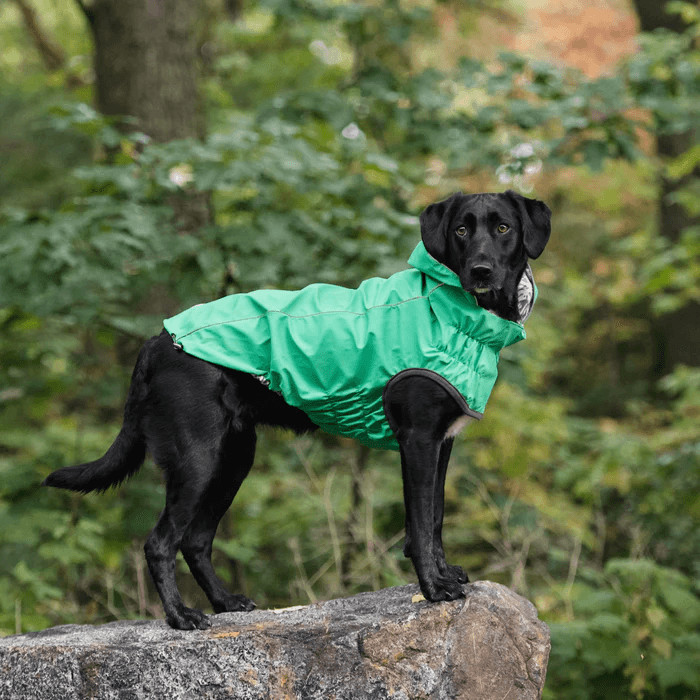 GF Pet Reversible Raincoat Green For Dogs - Small - Coats - GF Pet - PetMax Canada