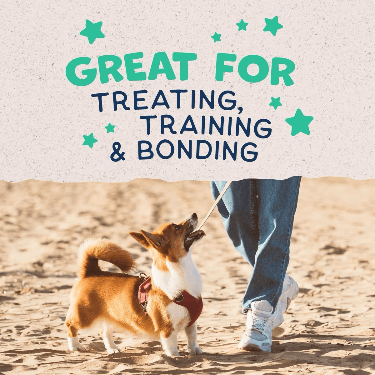 Natural Balance Rewards Crunchy Biscuits With Real Chicken Dog Treats - 227g - Dog Treats - Natural Balance - PetMax Canada