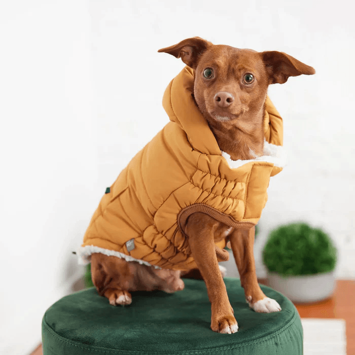 GF Pet Super Puff Parka Yellow For Dogs - X-Small - Coats - GF Pet - PetMax Canada