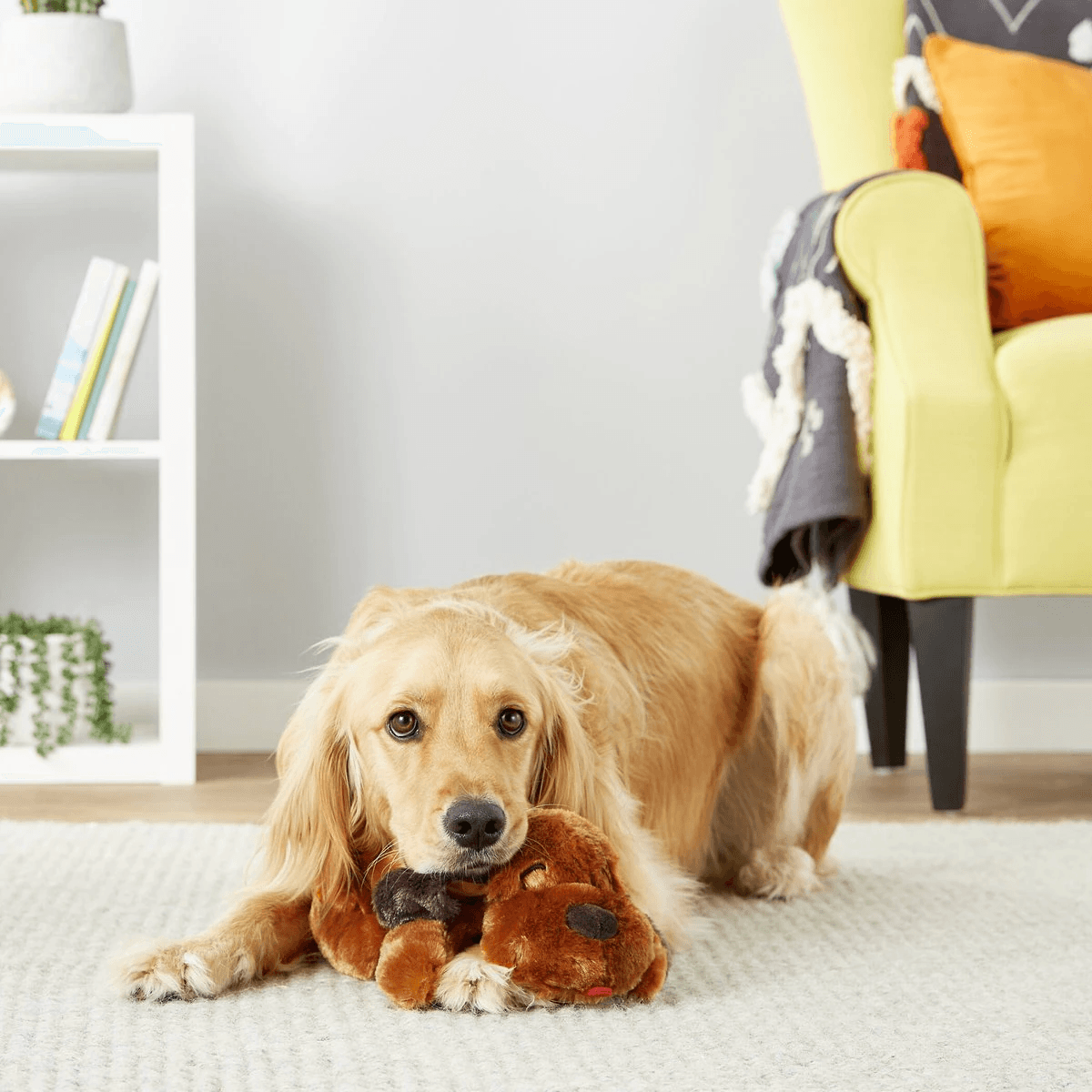 Smart Pet Love Snuggle Puppy Behavioral Aid Dog Toy - Brown - Dog Toys - Smart Pet - PetMax Canada