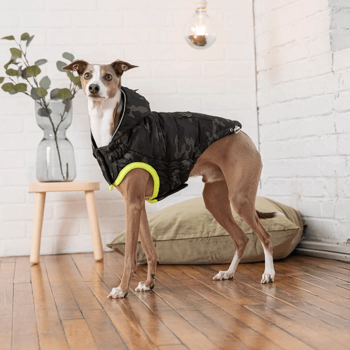 GF Pet Recycled Parka Camouflage For Dogs - X-Small - Coats - GF Pet - PetMax Canada
