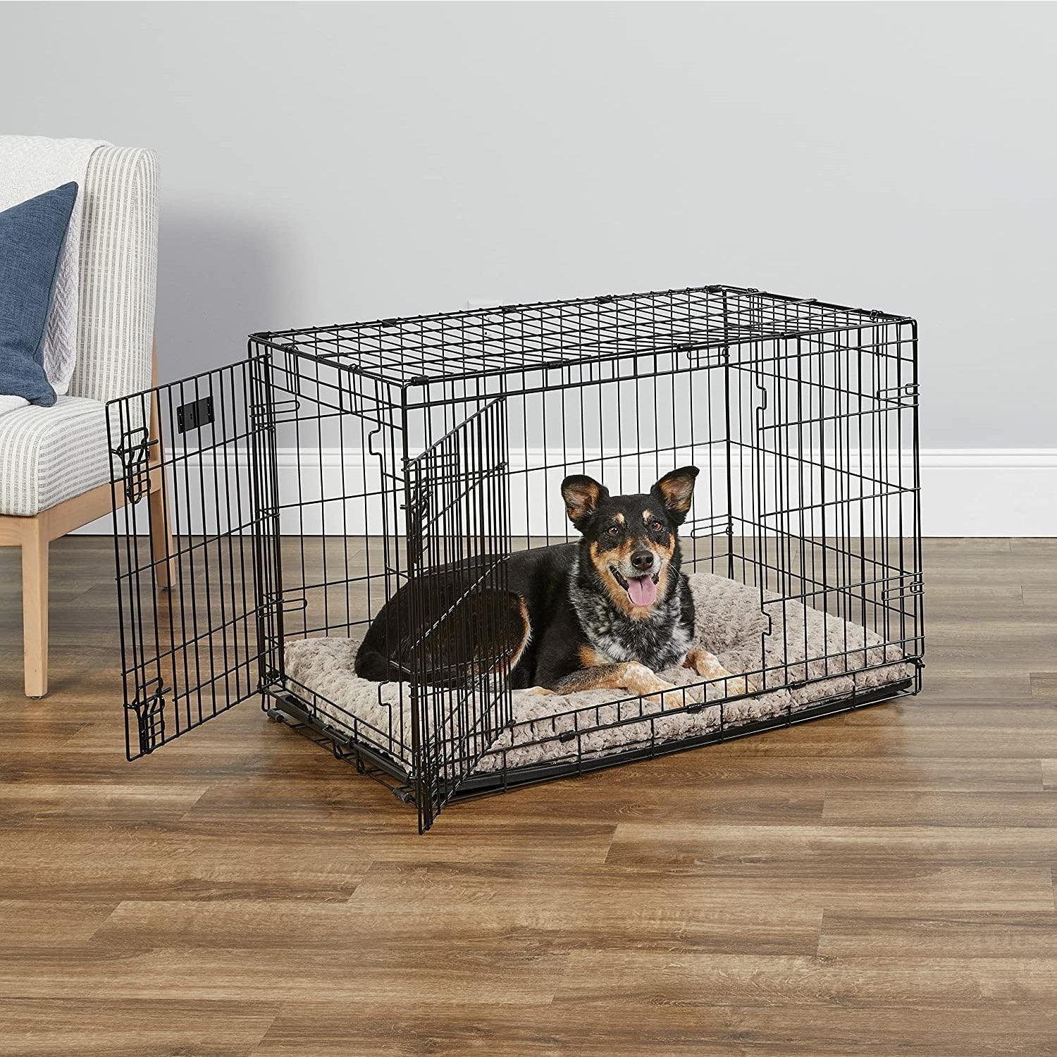 Bud'Z Deluxe Dog Crate With Double Door - Small: 24" x 17" x 19" - Wire Crates - Bud'Z - PetMax Canada