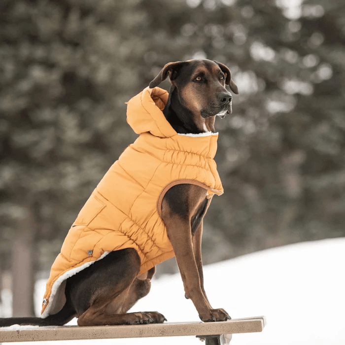 GF Pet Super Puff Parka Yellow For Dogs - X-Small - Coats - GF Pet - PetMax Canada