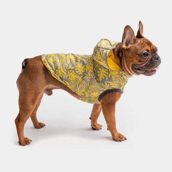 GF Pet Reversible Raincoat Yellow For Dogs - Small - Coats - GF Pet - PetMax Canada