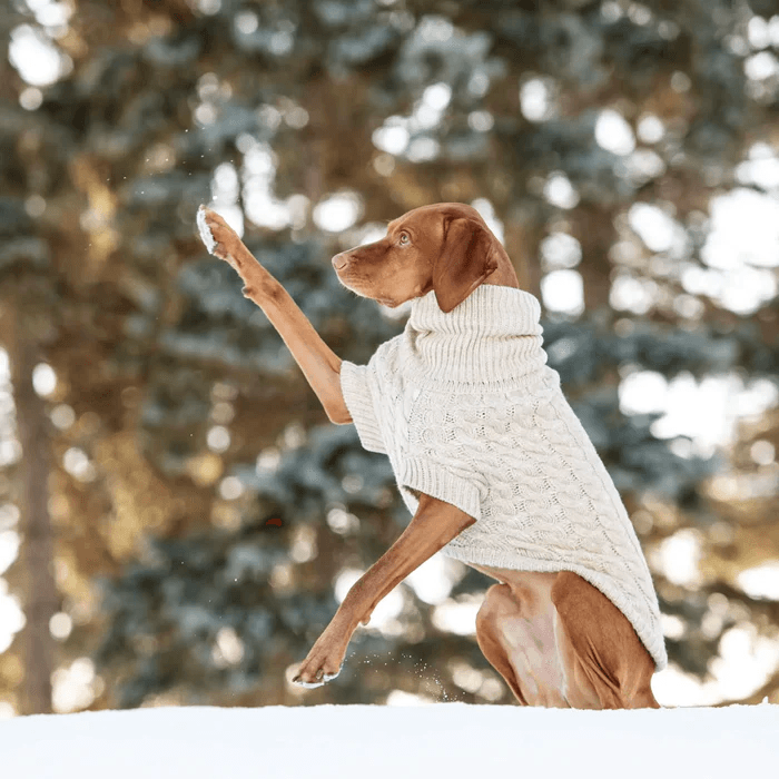 GF Pet Chalet Sweater Oatmeal For Dogs - XX-Small - Sweaters - GF Pet - PetMax Canada