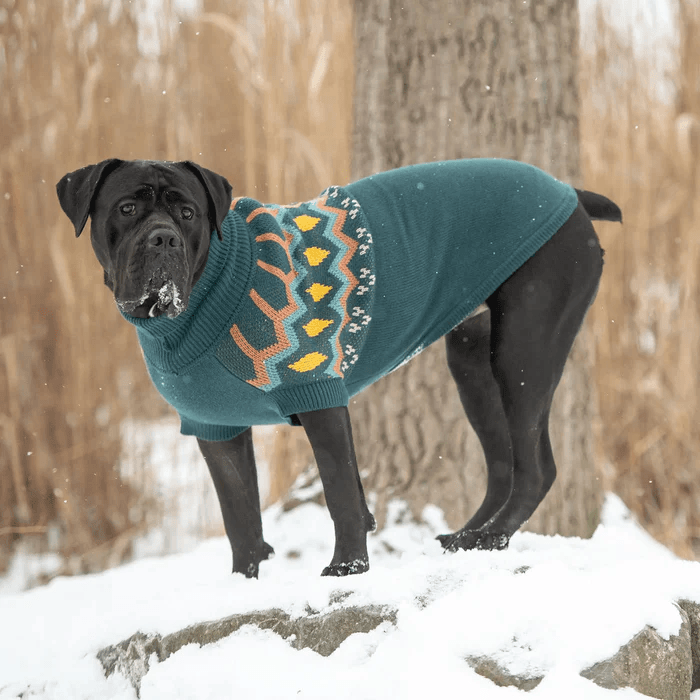 GF Pet Heritage Sweater Teal For Dogs - X-Small - Sweaters - GF Pet - PetMax Canada