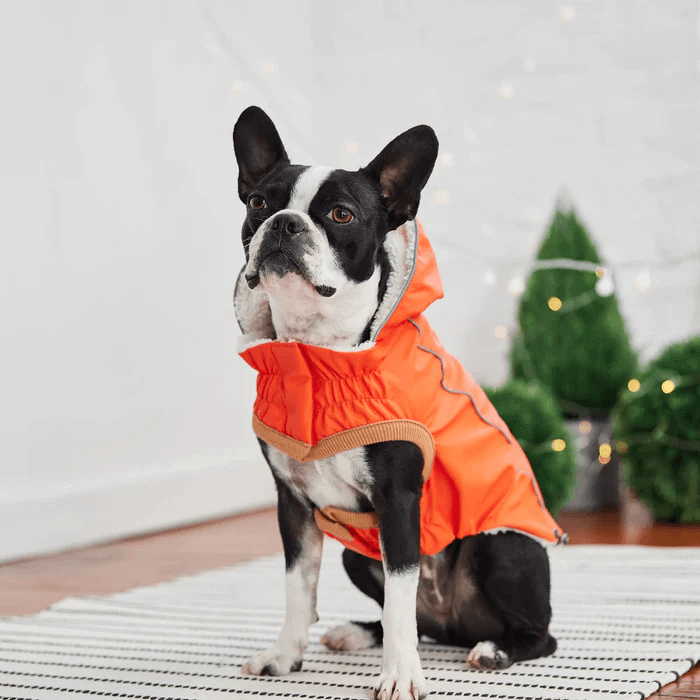 GF Pet Insulated Raincoat Orange For Dogs - X-Small - Coats - GF Pet - PetMax Canada