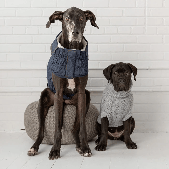 GF Pet Chalet Sweater Grey For Dogs - XX-Small - Sweaters - GF Pet - PetMax Canada