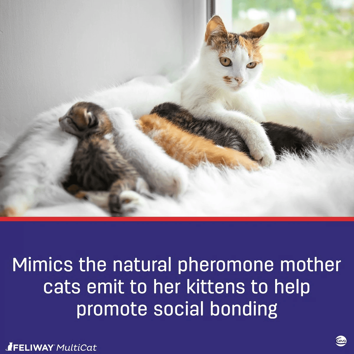 Feliway MultiCat 30 Day Starter Kit Calming Diffuser for Cats - Default Title - Cat Health Care - Feliway - PetMax Canada