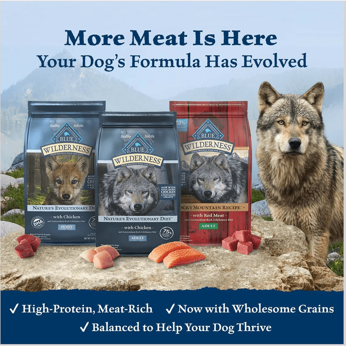 Blue Buffalo Wilderness With Healthy Grains Duck Adult Dry Dog Food - 2 Kg - Dog Food - Blue Buffalo - PetMax Canada