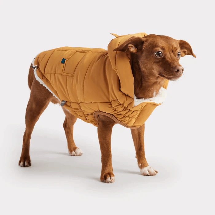 GF Pet Super Puff Parka Yellow For Dogs - X-Small - Coats - GF Pet - PetMax Canada