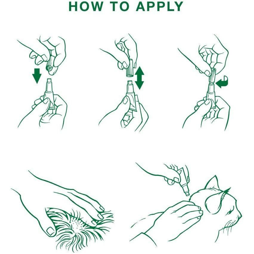 Advantage II For Large Cats - 4Kg+ / 4 Pack - Flea & Tick - Advantage - PetMax Canada