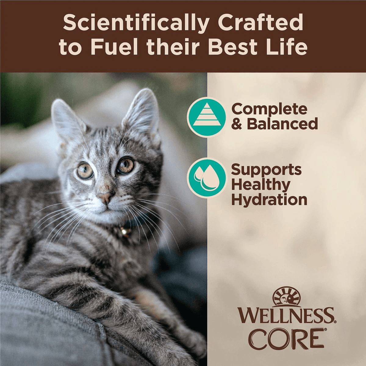 Wellness CORE Tiny Tasters Flaked Tuna & Salmon in Sauce Wet Cat Food - 50g - Canned Cat Food - Wellness - PetMax Canada