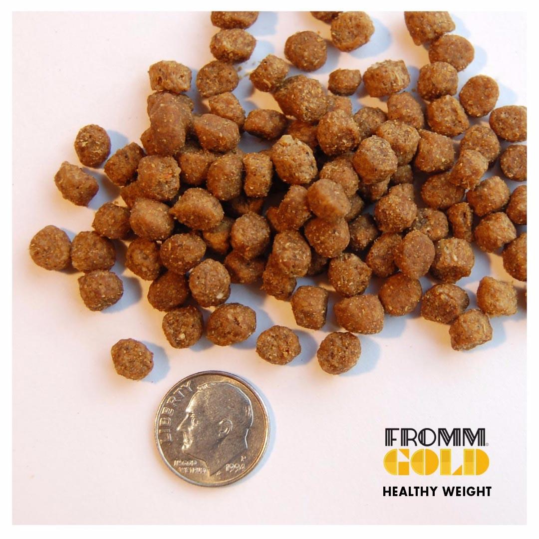 Fromm Gold Healthy Weight Adult Cat Food - 1.8 Kg - Cat Food - Fromm - PetMax Canada