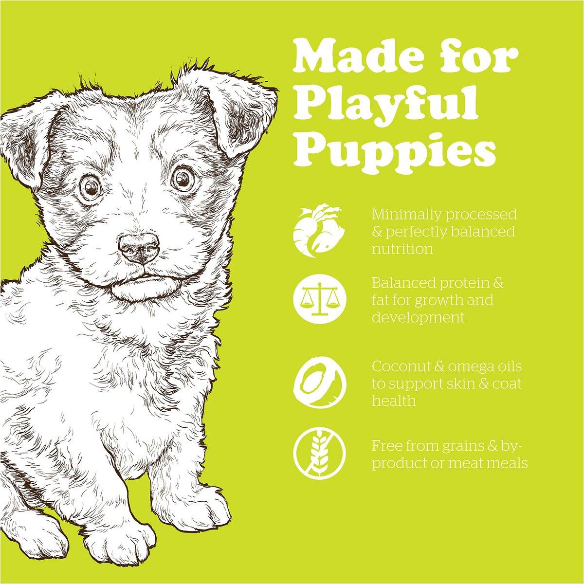 Now Fresh Grain Free Small Breed Puppy Food - 1.59 Kg - Dog Food - Now Fresh - PetMax Canada