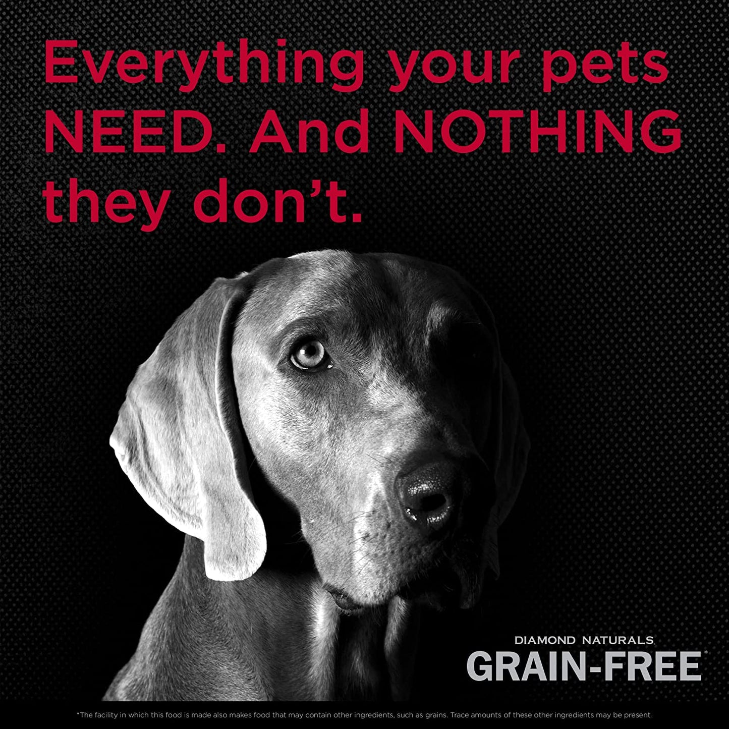 Diamond Naturals Grain Free Beef & Potato Dry Dog Food  Dog Food  | PetMax Canada