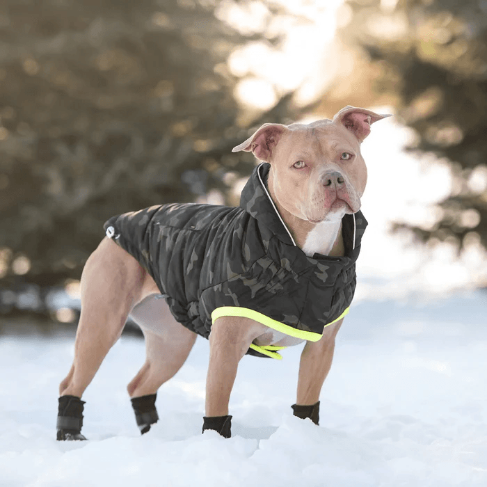 GF Pet Recycled Parka Camouflage For Dogs - X-Small - Coats - GF Pet - PetMax Canada