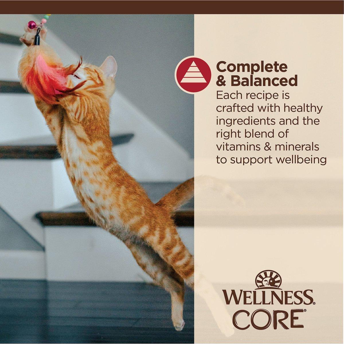Wellness CORE Tiny Tasters Minced Chicken & Beef in Gravy Wet Cat Food - 50g - Canned Cat Food - Wellness - PetMax Canada