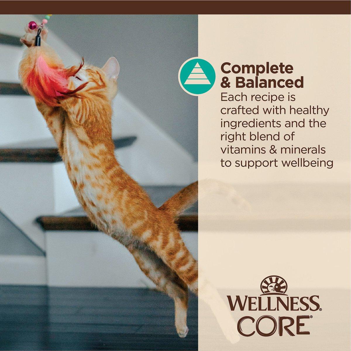 Wellness CORE Tiny Tasters Flaked Tuna & Salmon in Sauce Wet Cat Food - 50g - Canned Cat Food - Wellness - PetMax Canada